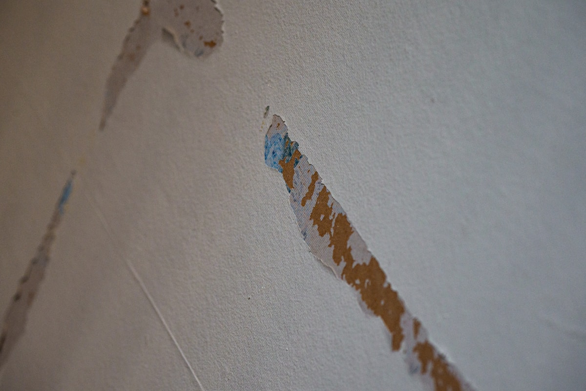 Storm Damage Repair service in North Las Vegas, NV